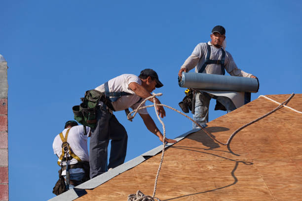 Best Emergency Roof Repair  in Maize, KS